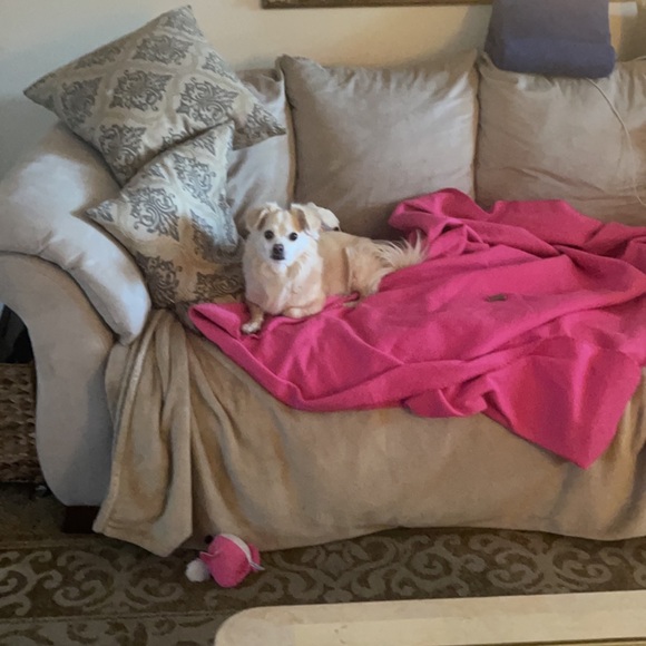 ✨MY BIG WHY✨ - Picture 16 of 16